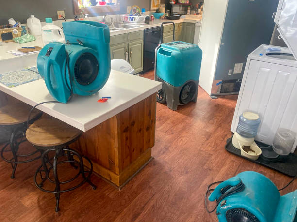Best Local water damage restoration  in Berkeley, IL