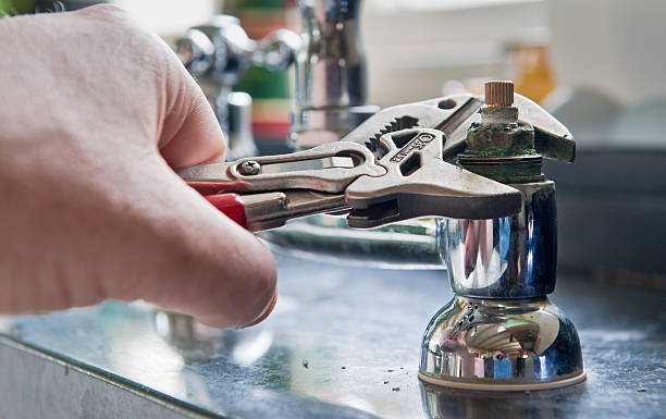 Best Flooded house restoration  in Berkeley, IL