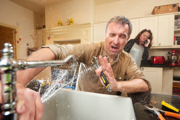 Best Carpet water damage restoration  in Berkeley, IL